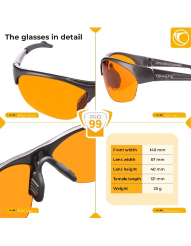 Gafas PRISMA CLASSIC PRO99 anti-luz azul – E709