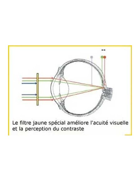 Occhiali anti luce blu PRiSMA® – CLASSIC LiTE95 – E704