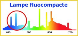 252-692-Graphique-lampe-fluocompacte.jpg