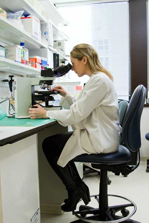  études in vitro, les résultats des méta-analyses ont montré que l'exposition aux RF est un facteur de risque pour la motilité et la viabilité des spermatozoïdes.