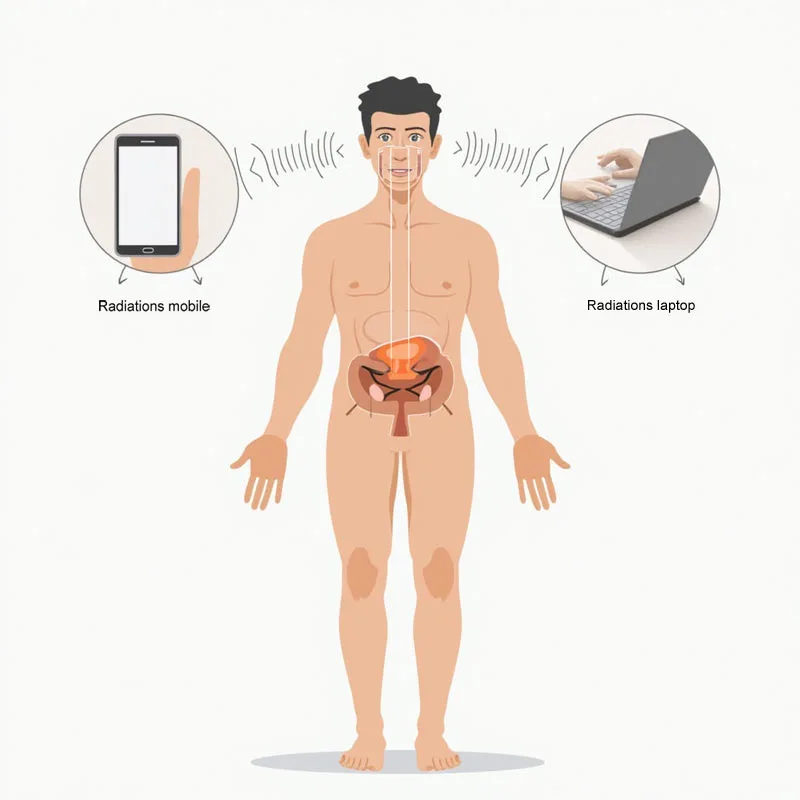 efeitos das ondas eletromagnéticas na fertilidade masculina